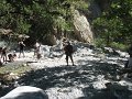 IMG_2167 - Copy